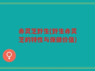 赤灵芝野生(野生赤灵芝的特性与保健价值)
