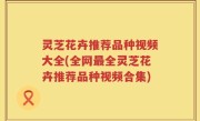 灵芝花卉推荐品种视频大全(全网最全灵芝花卉推荐品种视频合集)
