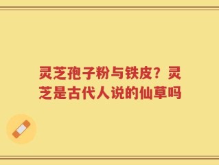 灵芝孢子粉与铁皮？灵芝是古代人说的仙草吗