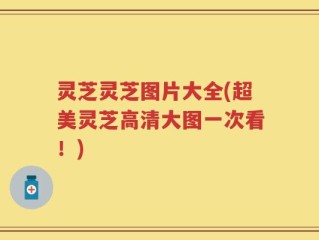 灵芝灵芝图片大全(超美灵芝高清大图一次看！)
