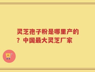 灵芝孢子粉是哪里产的？中国最大灵芝厂家