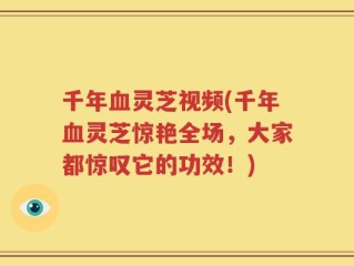 千年血灵芝视频(千年血灵芝惊艳全场，大家都惊叹它的功效！)