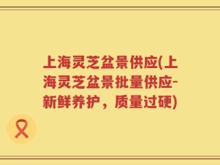 上海灵芝盆景供应(上海灵芝盆景批量供应-新鲜养护，质量过硬)