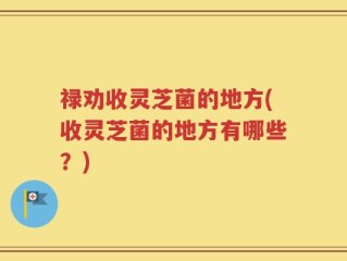 禄劝收灵芝菌的地方(收灵芝菌的地方有哪些？)