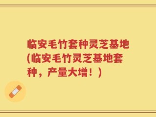 临安毛竹套种灵芝基地(临安毛竹灵芝基地套种，产量大增！)