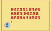 种植灵芝怎么管理的呢视频教程(种植灵芝正确的管理方法视频教程)