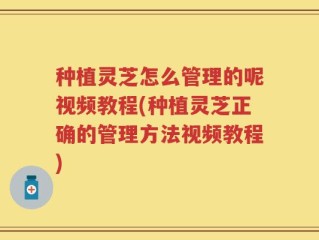 种植灵芝怎么管理的呢视频教程(种植灵芝正确的管理方法视频教程)