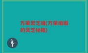 万荣灵芝姐(万荣姐姐的灵芝秘籍)