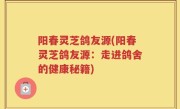 阳春灵芝鸽友源(阳春灵芝鸽友源：走进鸽舍的健康秘籍)