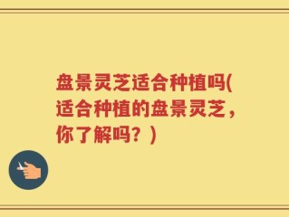 盘景灵芝适合种植吗(适合种植的盘景灵芝，你了解吗？)
