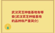 武汉灵芝种植基地有哪些(武汉灵芝种植基地的品种和产量简介)