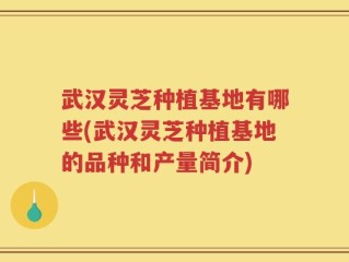 武汉灵芝种植基地有哪些(武汉灵芝种植基地的品种和产量简介)