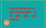南部灵芝种植条件(南部灵芝种植的要求：光照、温度、湿度、土壤等条件)