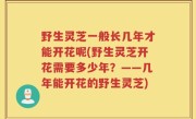野生灵芝一般长几年才能开花呢(野生灵芝开花需要多少年？——几年能开花的野生灵芝)