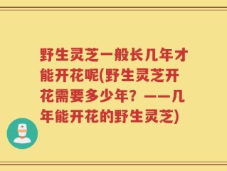 野生灵芝一般长几年才能开花呢(野生灵芝开花需要多少年？——几年能开花的野生灵芝)