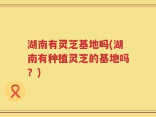 湖南有灵芝基地吗(湖南有种植灵芝的基地吗？)