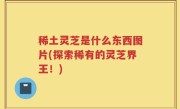 稀土灵芝是什么东西图片(探索稀有的灵芝界王！)