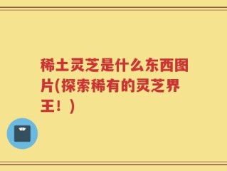稀土灵芝是什么东西图片(探索稀有的灵芝界王！)