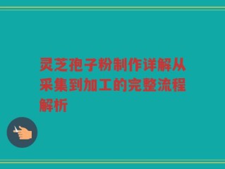 灵芝孢子粉制作详解从采集到加工的完整流程解析