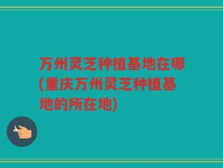 万州灵芝种植基地在哪(重庆万州灵芝种植基地的所在地)