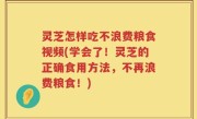 灵芝怎样吃不浪费粮食视频(学会了！灵芝的正确食用方法，不再浪费粮食！)