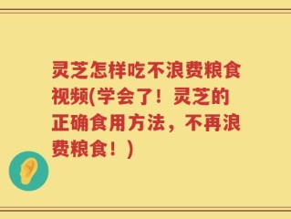 灵芝怎样吃不浪费粮食视频(学会了！灵芝的正确食用方法，不再浪费粮食！)