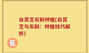 白灵芝石斛种植(白灵芝与石斛：种植技巧解析)