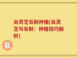 白灵芝石斛种植(白灵芝与石斛：种植技巧解析)