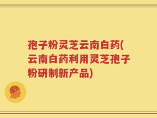 孢子粉灵芝云南白药(云南白药利用灵芝孢子粉研制新产品)