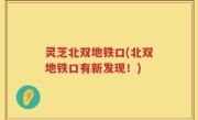 灵芝北双地铁口(北双地铁口有新发现！)