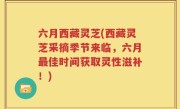 六月西藏灵芝(西藏灵芝采摘季节来临，六月最佳时间获取灵性滋补！)