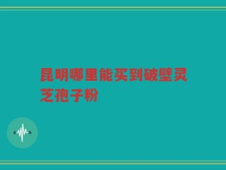 昆明哪里能买到破壁灵芝孢子粉
