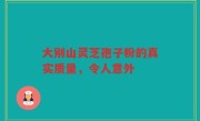 大别山灵芝孢子粉的真实质量，令人意外