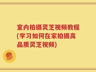 室内拍摄灵芝视频教程(学习如何在家拍摄高品质灵芝视频)