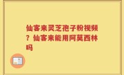 仙客来灵芝孢子粉视频？仙客来能用阿莫西林吗