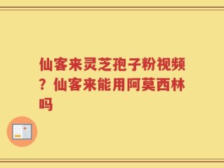 仙客来灵芝孢子粉视频？仙客来能用阿莫西林吗