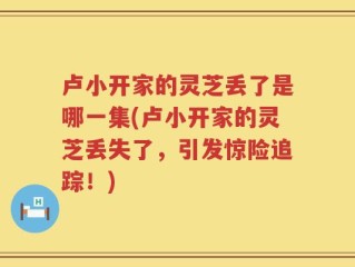 卢小开家的灵芝丢了是哪一集(卢小开家的灵芝丢失了，引发惊险追踪！)