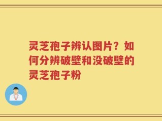 灵芝孢子辨认图片？如何分辨破壁和没破壁的灵芝孢子粉