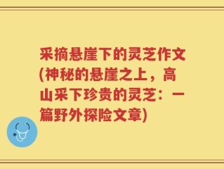 采摘悬崖下的灵芝作文(神秘的悬崖之上，高山采下珍贵的灵芝：一篇野外探险文章)