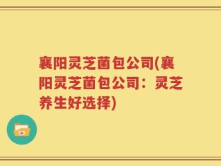 襄阳灵芝菌包公司(襄阳灵芝菌包公司：灵芝养生好选择)