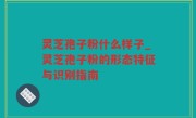 灵芝孢子粉什么样子_灵芝孢子粉的形态特征与识别指南