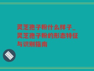 灵芝孢子粉什么样子_灵芝孢子粉的形态特征与识别指南