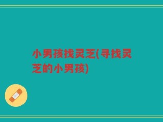 小男孩找灵芝(寻找灵芝的小男孩)
