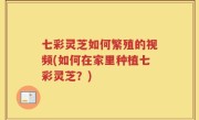 七彩灵芝如何繁殖的视频(如何在家里种植七彩灵芝？)