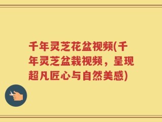 千年灵芝花盆视频(千年灵芝盆栽视频，呈现超凡匠心与自然美感)