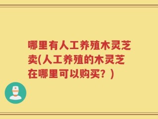 哪里有人工养殖木灵芝卖(人工养殖的木灵芝在哪里可以购买？)