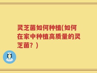 灵芝菌如何种植(如何在家中种植高质量的灵芝菌？)