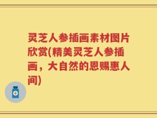 灵芝人参插画素材图片欣赏(精美灵芝人参插画，大自然的恩赐惠人间)