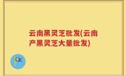云南黑灵芝批发(云南产黑灵芝大量批发)