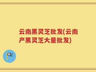 云南黑灵芝批发(云南产黑灵芝大量批发)